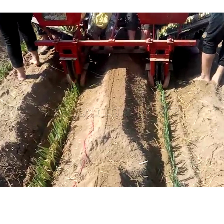 德欧 拖拉机后置大葱移栽机 单双行葱苗栽种机 蔬菜苗瓜苗种植器