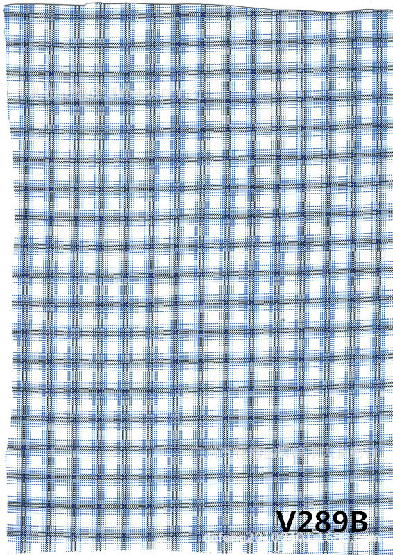 V289B