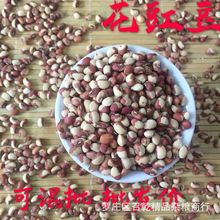 优选花豇豆 东北新花江豆 农家五谷杂粮饭豆 八宝粥原料花江豆