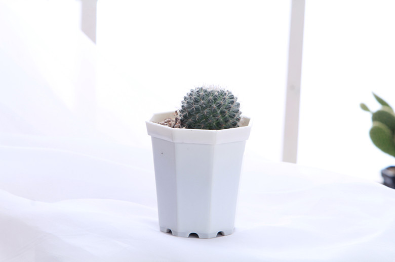 IMG_4727_����