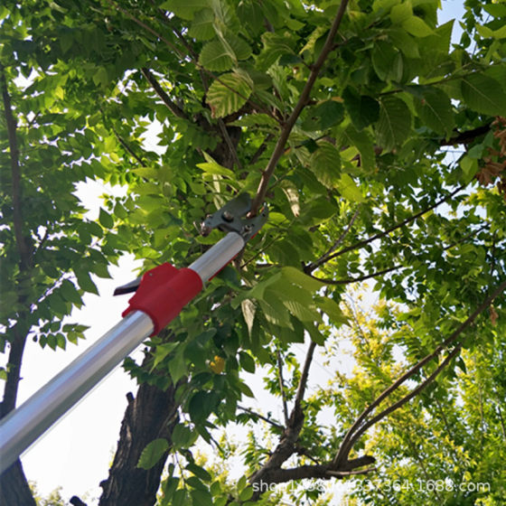 Supply 3 meters iron Chuck telescopic high-altitude fruit picking shears high branch Shears saw fruit picking shears fruit picking longan Apple Persimmon shears