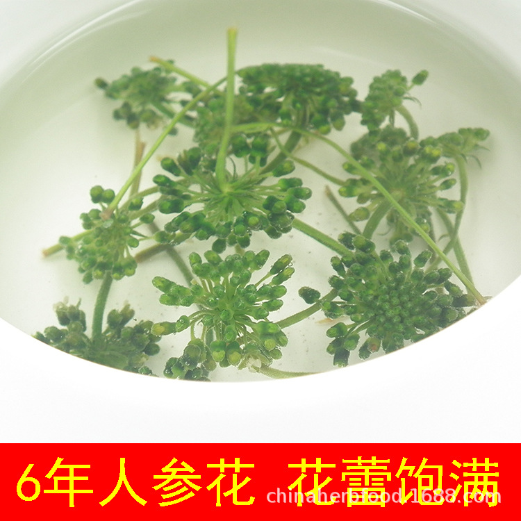 Ginseng Flower Tea 500g Ren Shen Hua Dried Buds from Changbai Mountain Northeast China New Harvest quality and texture