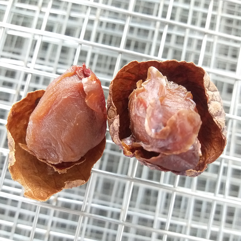 高州荔枝干 核小肉厚新货甜蜜干荔枝休闲小食特产干货产地直销