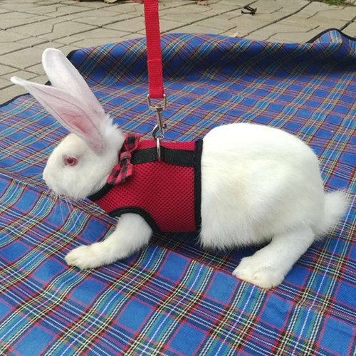 Totoro, Hamster, Golden Bear, Mink, Rabbit Rope, Small Pet Traction Rope, Rabbit Special Vest-style Harness, Rabbit Rope