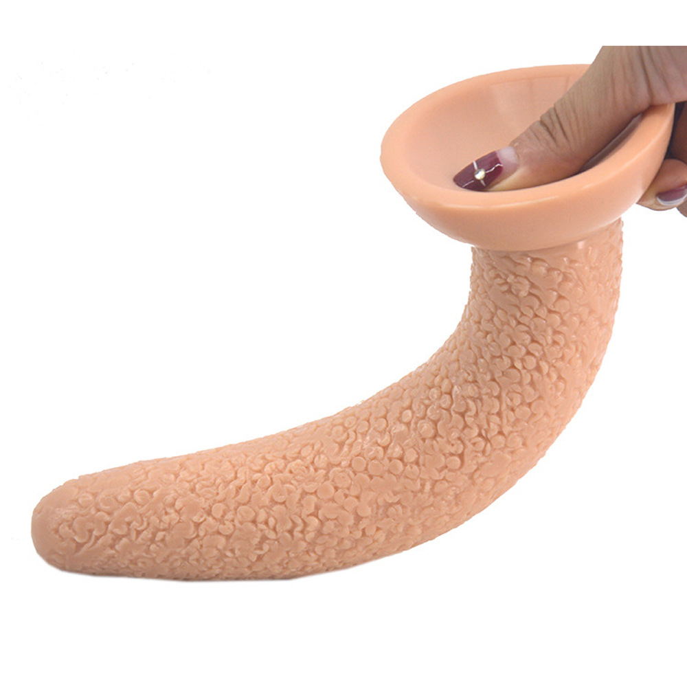 Anal Plug Image 2