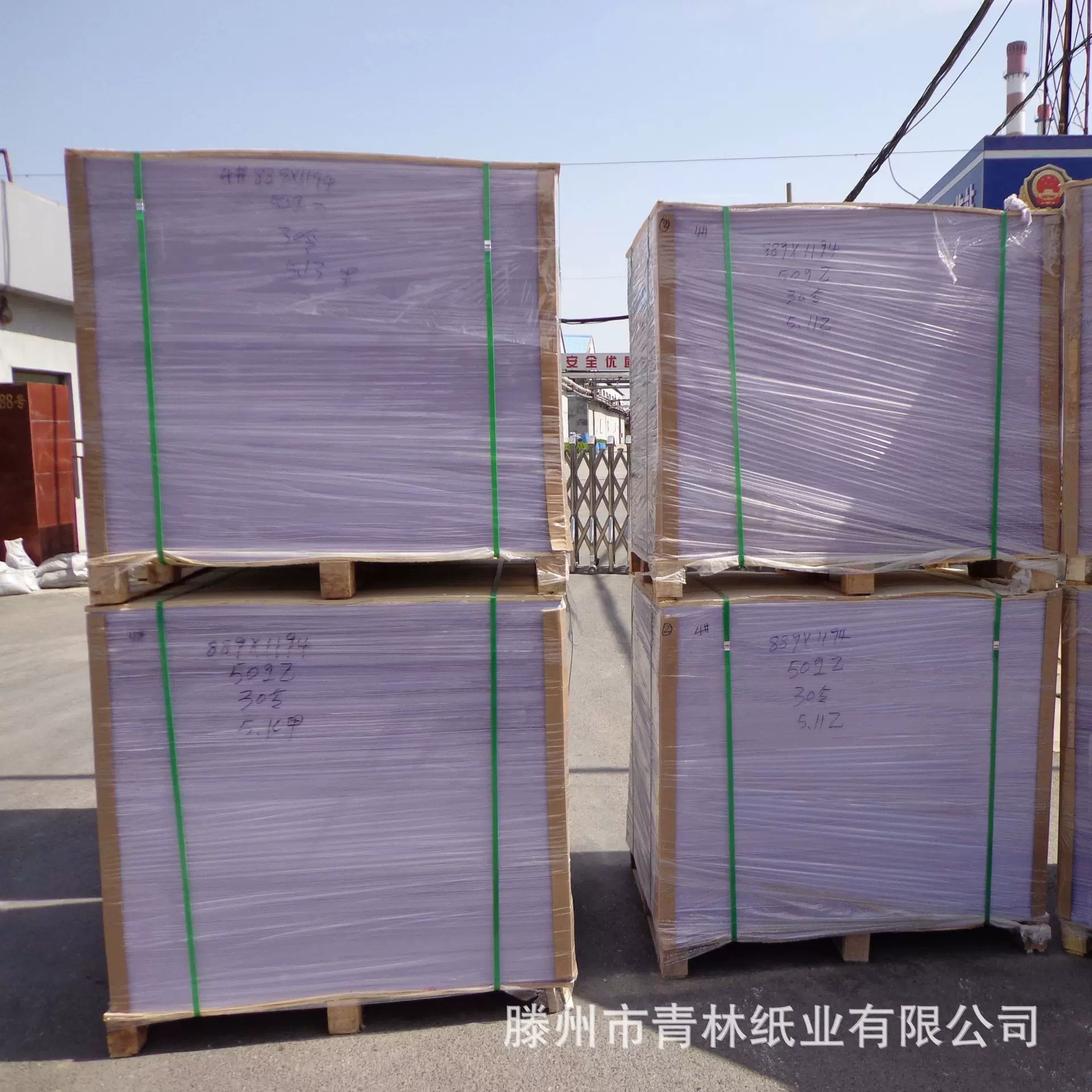 山东纸厂青林纸业优质原白小学生演草纸，教辅用纸