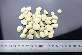 松子;夏威夷果;扁桃仁