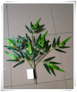 ������֦ �θ���֦ ����� ��֧���~ ���������~�� �������~