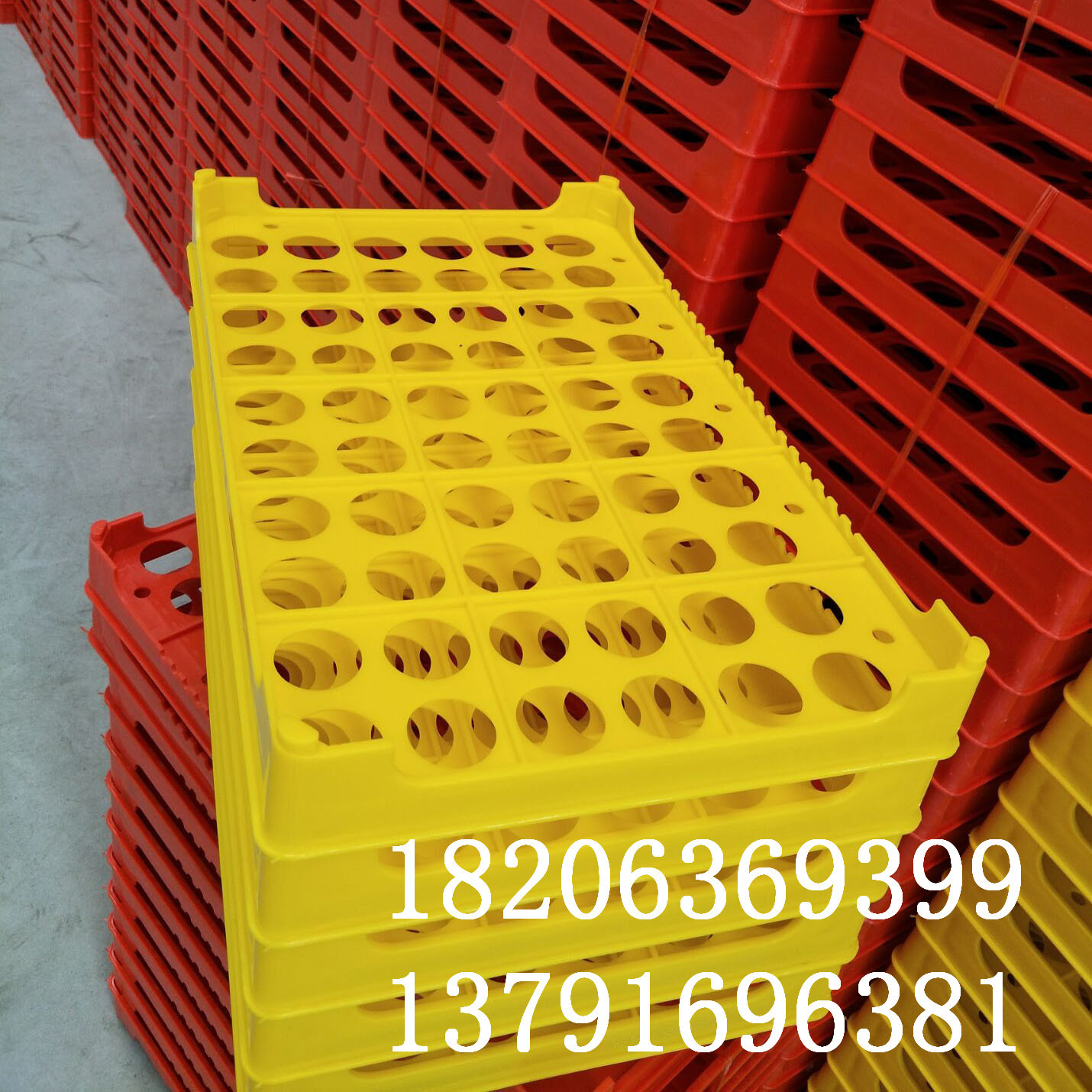 60枚鸡蛋托生产厂家 塑料鸡蛋托 60枚鸡蛋周转盘 蛋盘