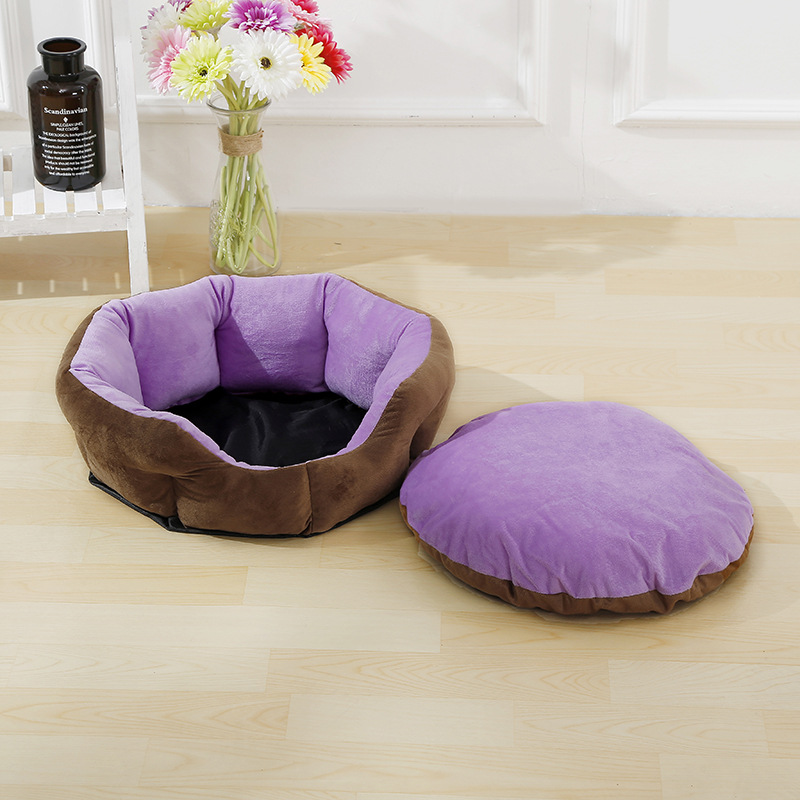 Fournitures pour chiens Image 4