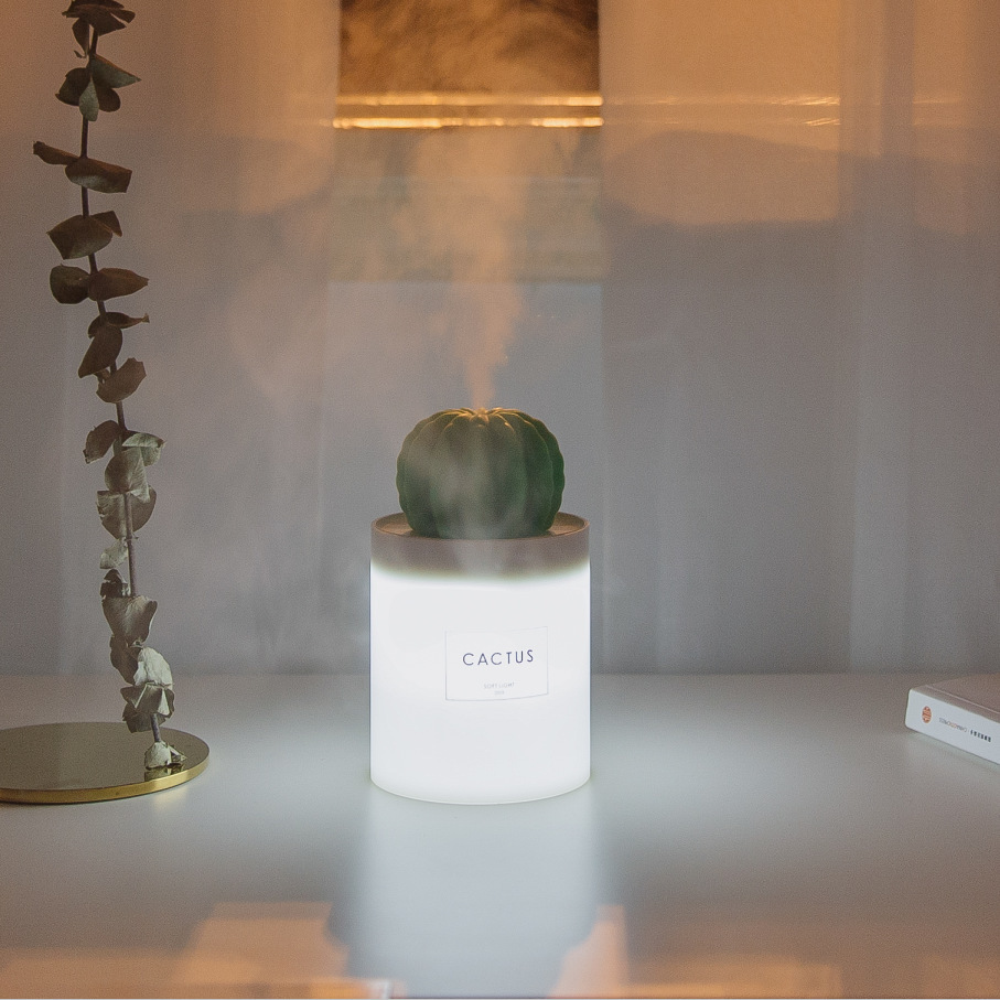 new pattern luminescence Cactus Night light humidifier usb Mini humidifier LIGHT Office desktop Atomizer