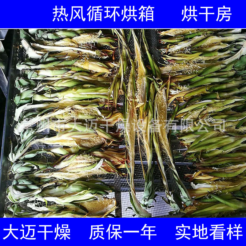 海南霸王花烘干机 无花果烘干设备食品烘干机 火龙果花烘干机报价