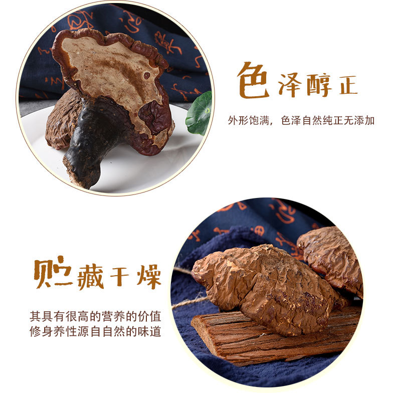 Reishi Mushroom Slices (Ganoderma lucidum) — Dried Chi Zhi from Changbai Mountain, Jilin key features
