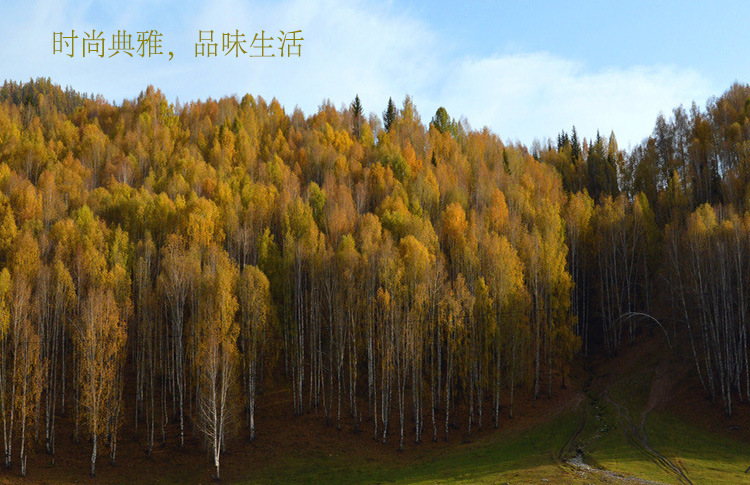 14976970_135445105003_2