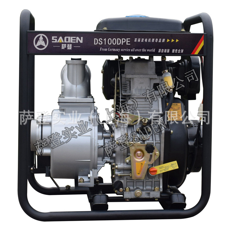 DS100DPE (10).jpg