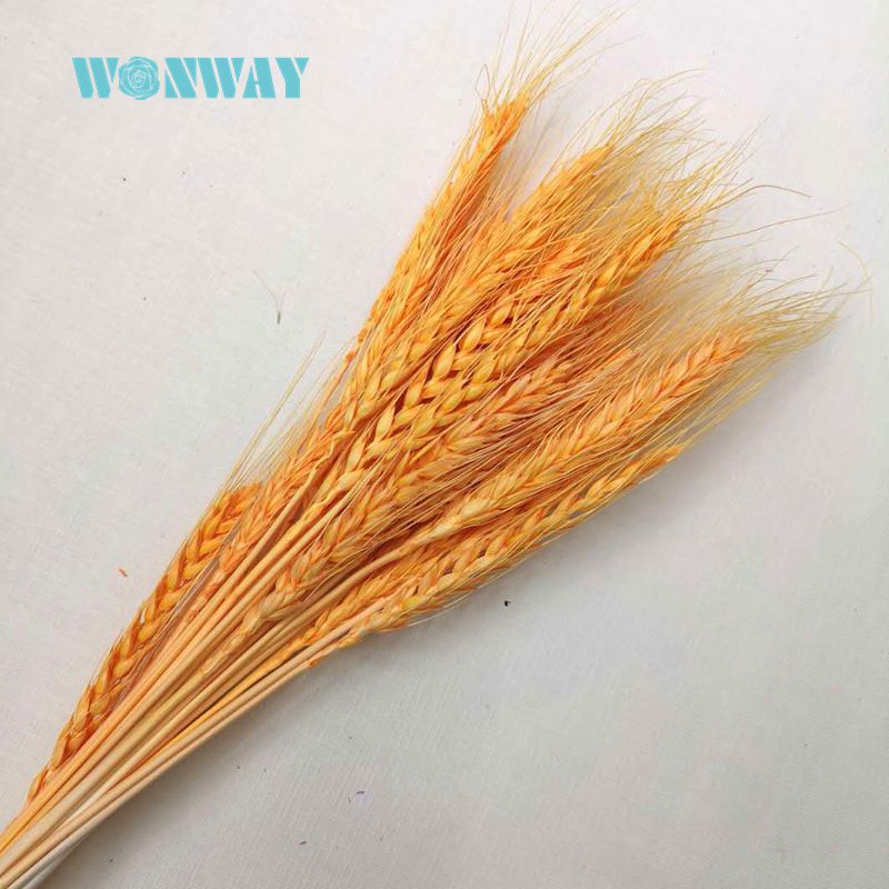 微信图片_20180707140446