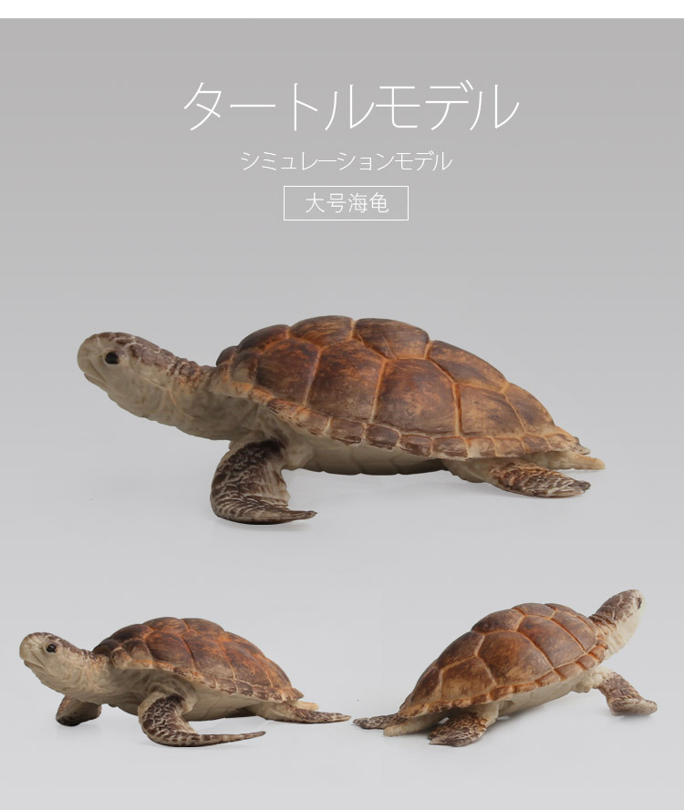 海龟模型_03