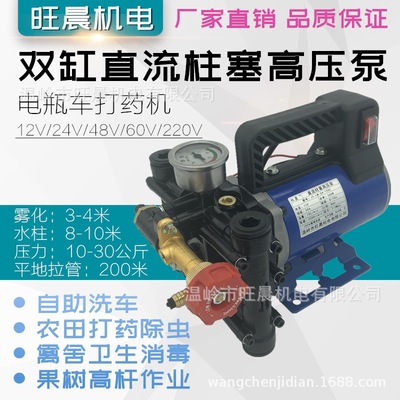 直流雙缸柱塞泵12V24V48V60V220V電動車農用果樹打藥機高壓噴霧器