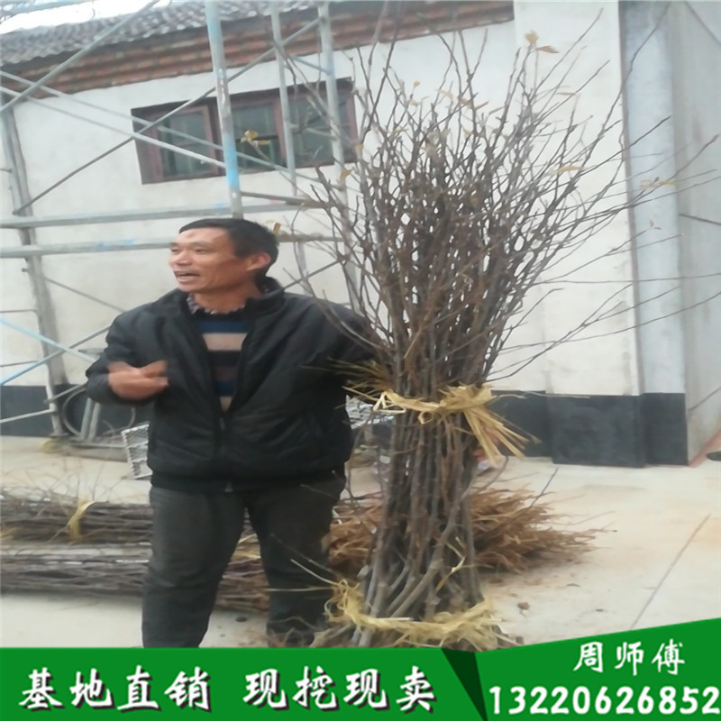 wx_camera_1515229771697_副本