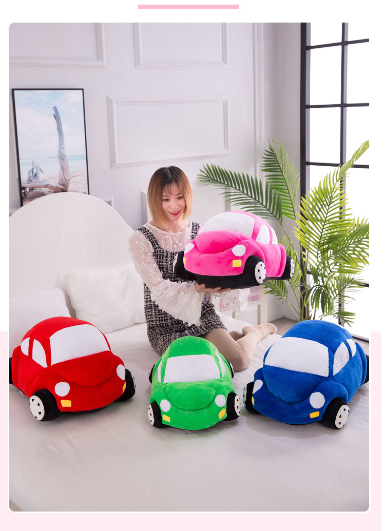 汽车抱枕 (4)