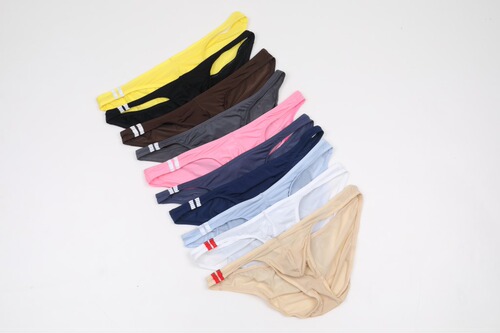 Wholesale foreign trade thin ice silk low-waist men's underwear underwear sexy briefs E043