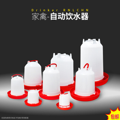 鸡水壶 小鸡自动饮水槽 鸽子鹌鹑水槽 鸡鸭鹅自动喂水器养鸡设备|ms