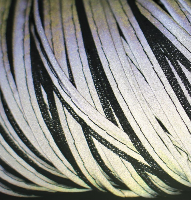 QQ图片20180612154909