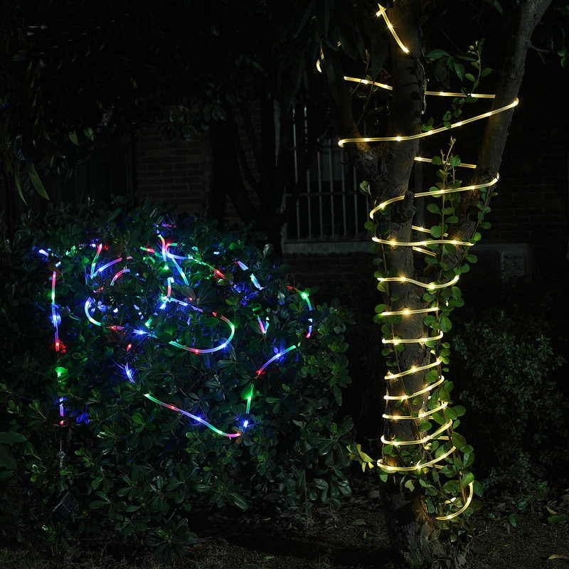 3187872006_104069812