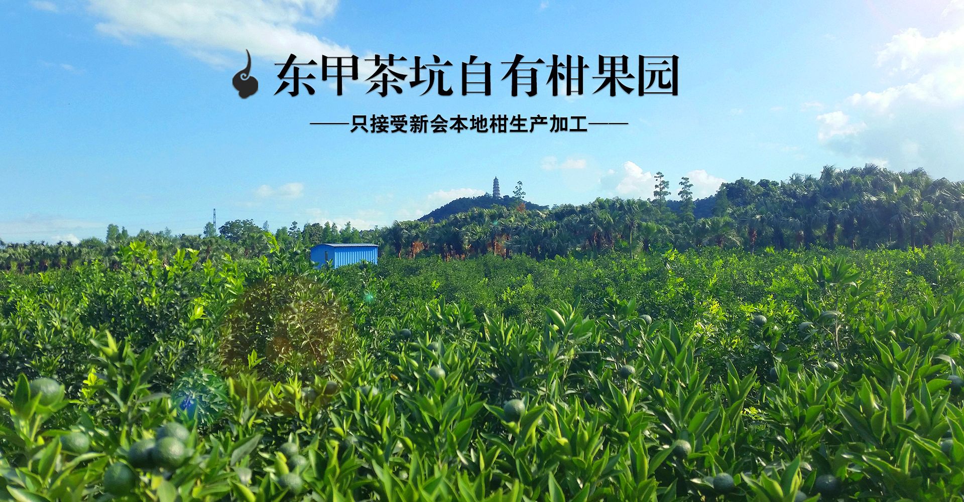 微信图片_20180903140825