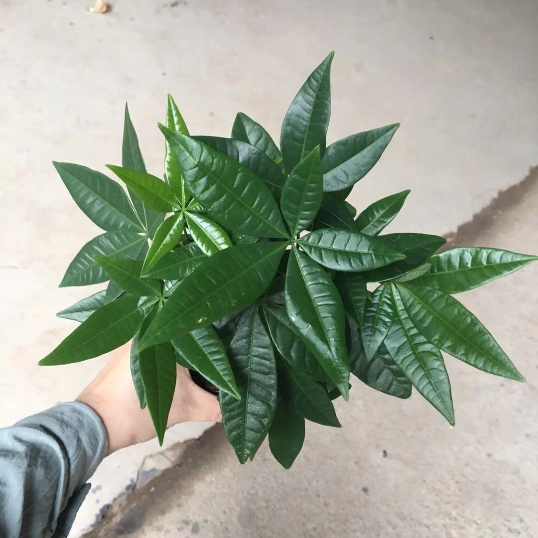 微信图片_20181209125047