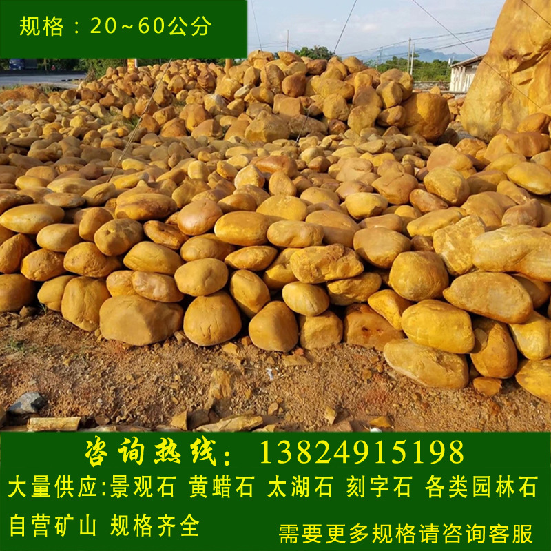 黄色石头河石工程石园林石室外园林点缀石黄蜡石价格图片
