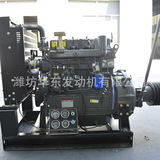 Сельскохозяйственный механизм дизельный двигатель фиксированная мощность двигатель внутреннего сгорания ZH4102G Электрический старт