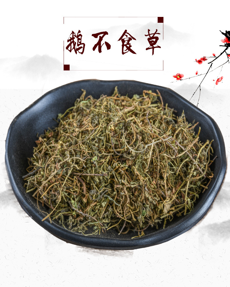 E Bu Shi Cao (Centipeda minima) — Dried Food Herb for Tea & Soup overview