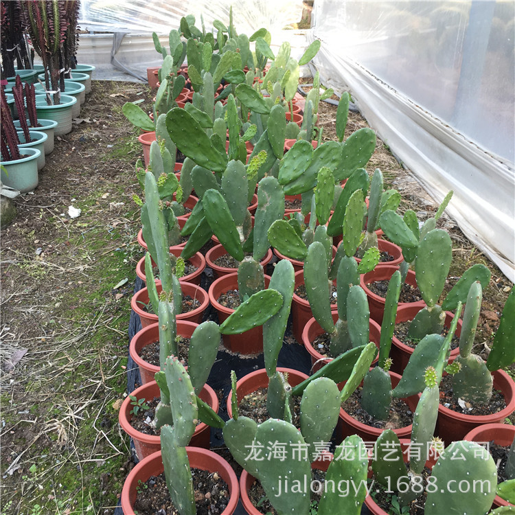 微信图片_20180112181246