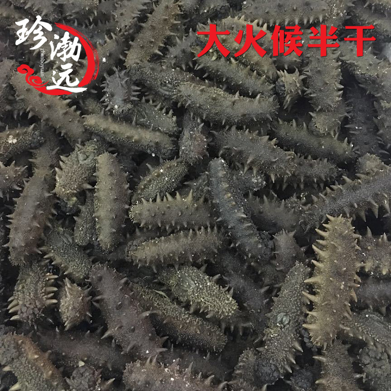 大火候大連拉缸鹽海參遼刺參半幹海參品質貨源壹件代發貨