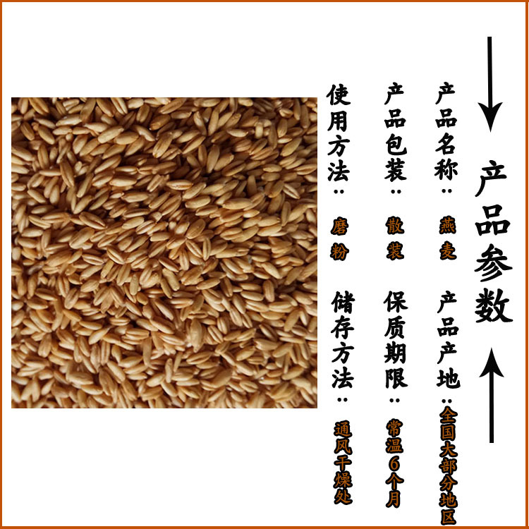 Low Temperature Baked Rolled Oats Bulk Whole Grain Oatmeal for Porridge and Baking overview