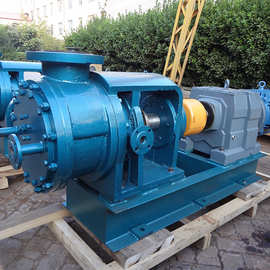 输送双组份中空密封胶泵NYP220内转子泵配XWD22KW-4-9