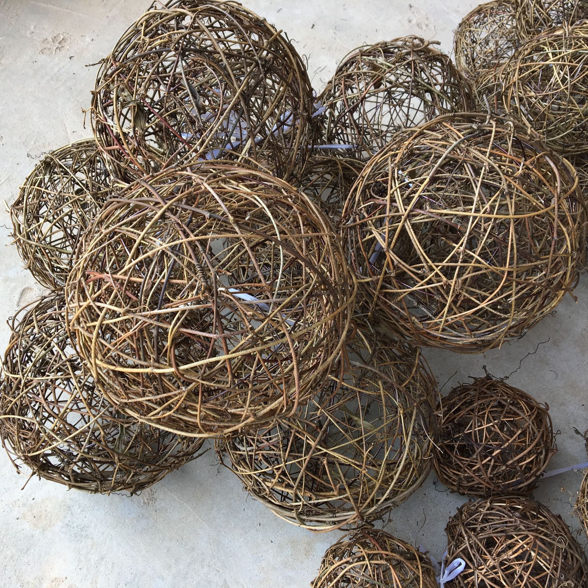 IMG_3601.JPG