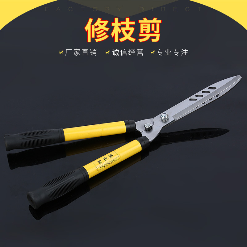 修枝剪綠籬剪綠化工具草坪修剪花草樹枝剪粗枝園林大剪刀