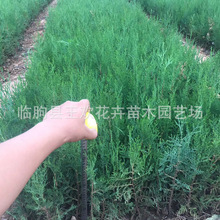  ȰС ر·@^ðؘGÂȰľl