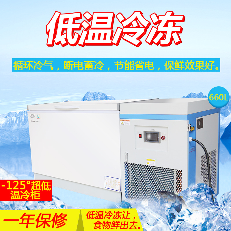 BKDW-660商用大容量低温冷冻冷柜节能环保底噪静音快速制冷