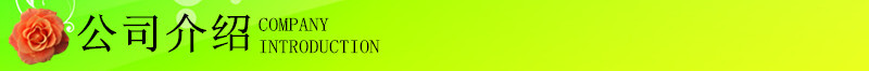 公司介绍