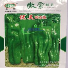 优美薄皮辣椒种子 特长灯笼型泡椒 早熟 丰产 辣味浓 大面积用种