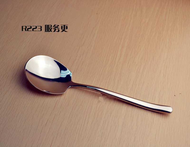 R223 服务更_副本