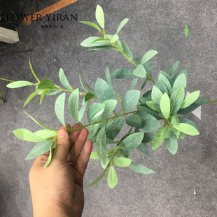 �S�����l6���ϙ��~��c���滨�Ҿӹ��̾Ƶ�·���bٻ��~�Ľ���