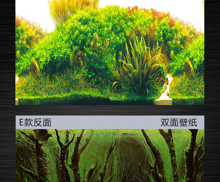 鱼缸壁画_详情750_12.jpg