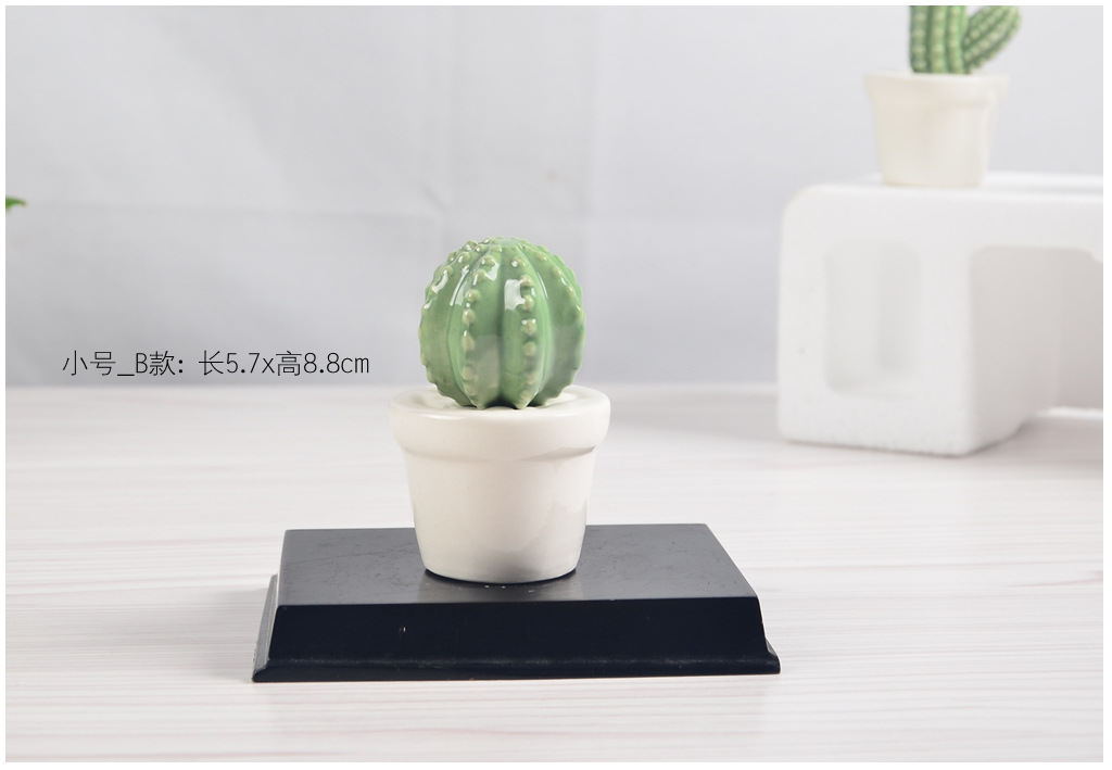 仙人掌07展示19.jpg