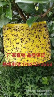 Чайный сад выделенная липкая порнографическая желтая доска с двойным покрытием 20*25 Желтые седуктивные жуки Немезида