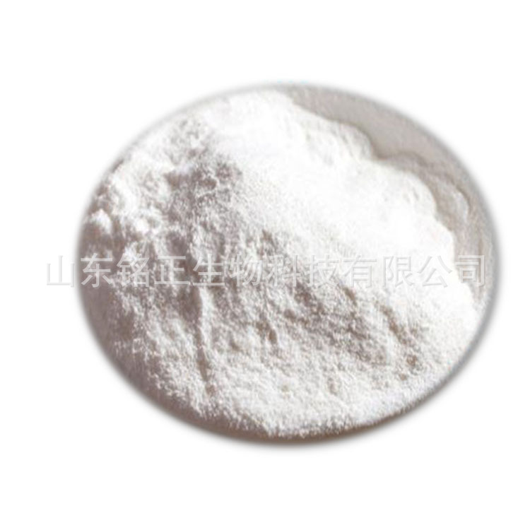 现货供应 罗蛋白酶 1公斤起批 量大优惠欢迎订购