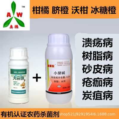 Citrus Ulcer Ulcer Dedicated Biological pesticides berberine Aofeng Manufactor Direct selling